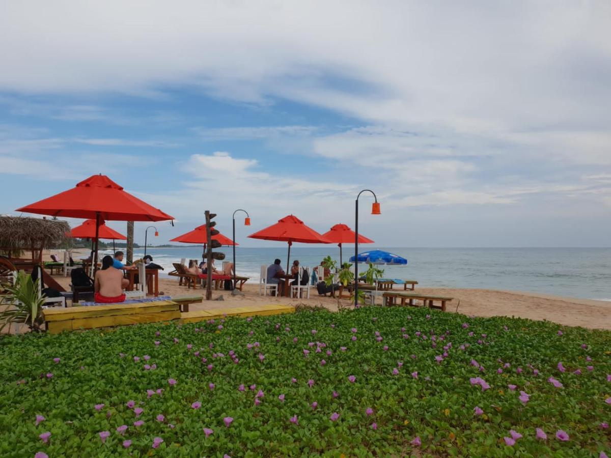 Blue Horizon Beach Hotel Tangalle Eksteriør billede